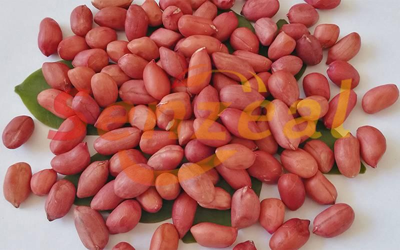 Peanut Kernels